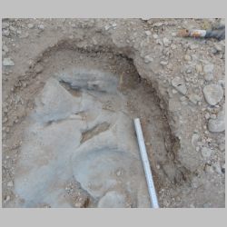 DSCN0515cr new tracks E gravel.jpg